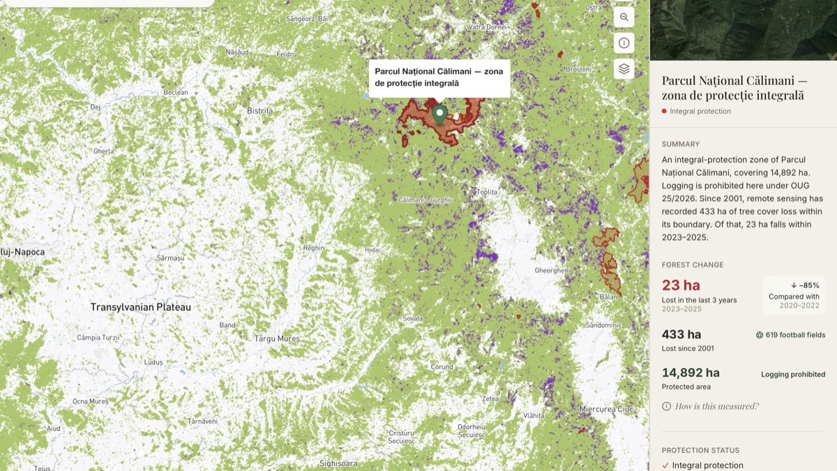 The inspect panel showing tree-cover-loss figures for a selected location