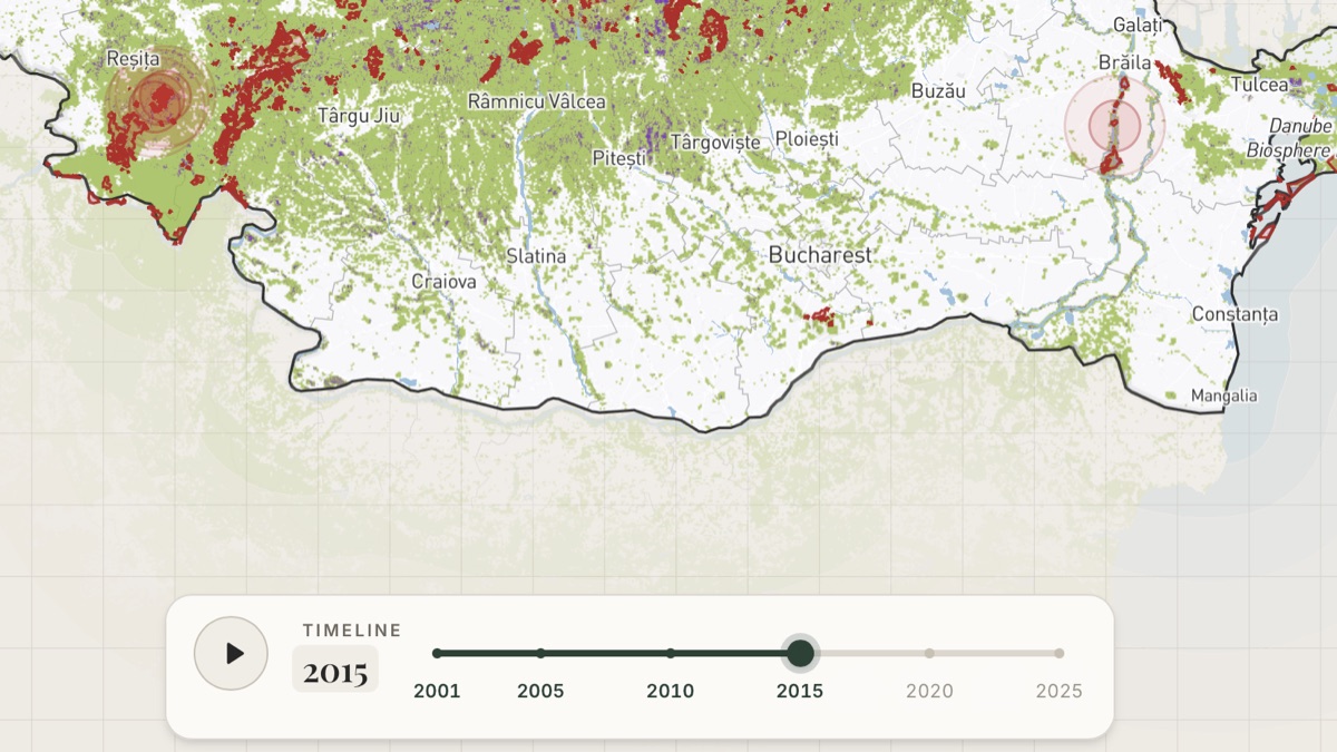 The timeline scrubber for stepping through forest loss year by year